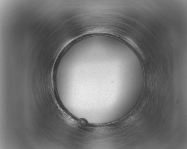 X0000062880988200601271617