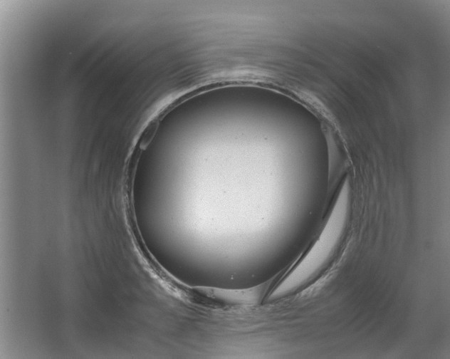 X0000062880989200601271617