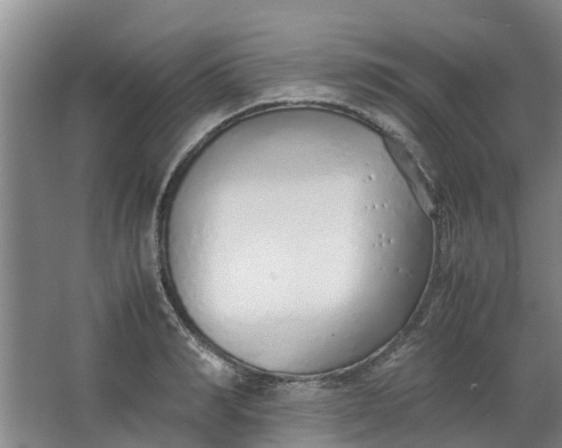 X0000062880990200601271617