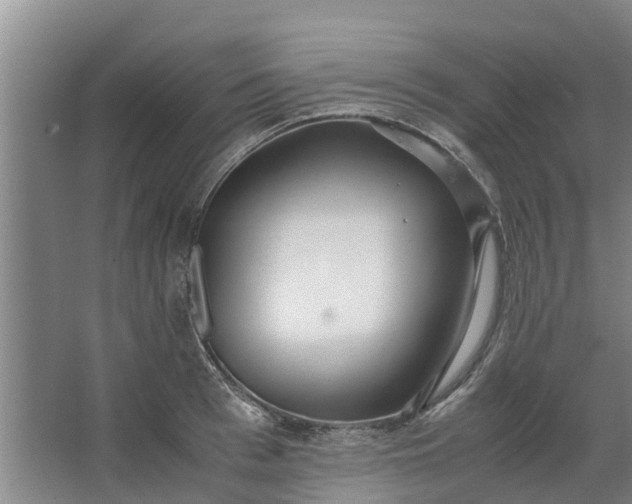 X0000062880993200601271617