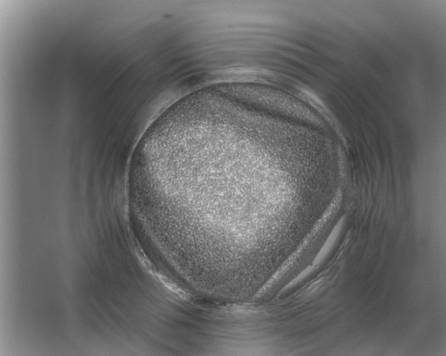 X0000062880994200601271617