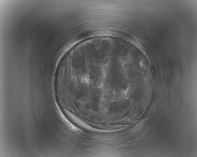 X0000062880995200601271617