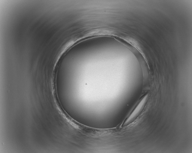 X0000062880997200601271617