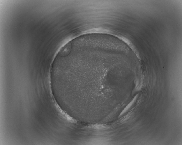 X0000062880998200601271617