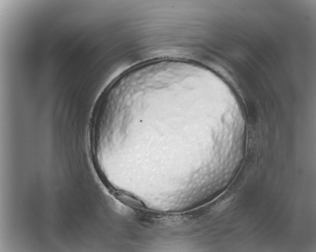 X0000062880999200601271617