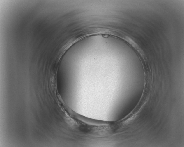 X0000062881001200601271617