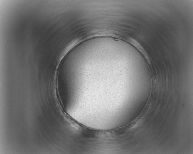 X0000062881002200601271617