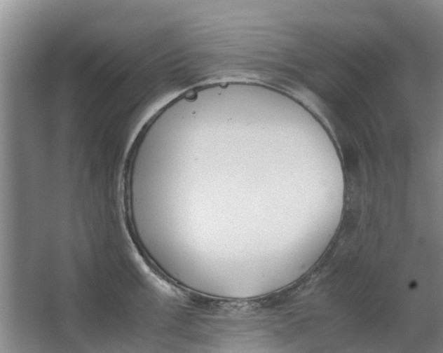 X0000062881003200601271617