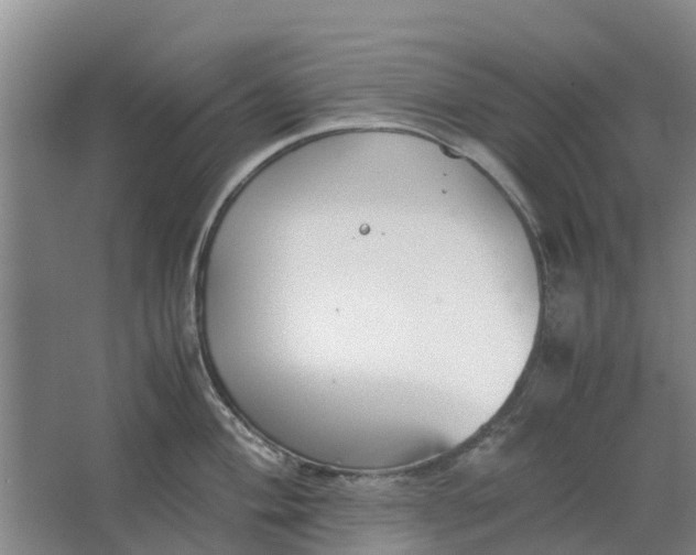 X0000062881004200601271617