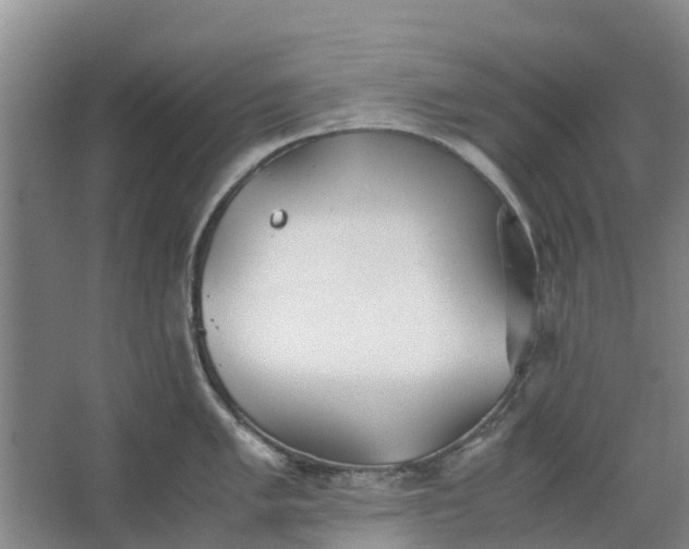 X0000062881005200601271617