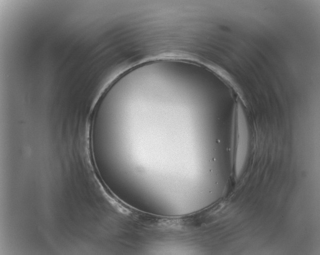 X0000062881006200601271617