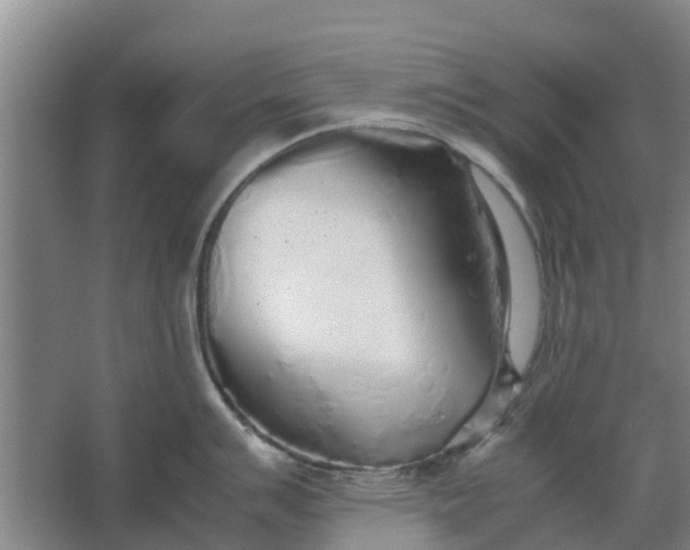 X0000062881007200601271617