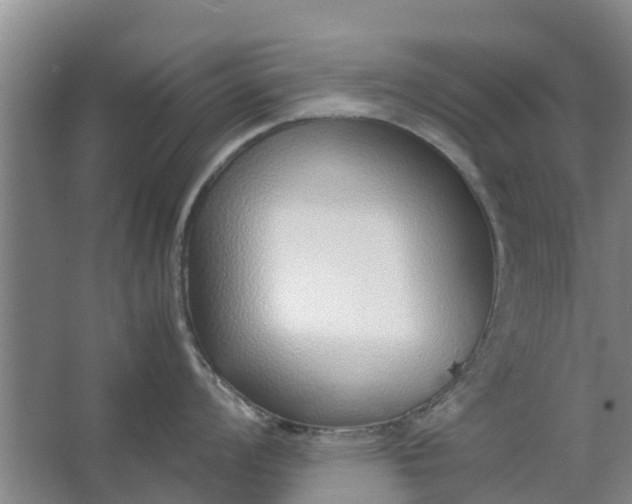 X0000062881008200601271617