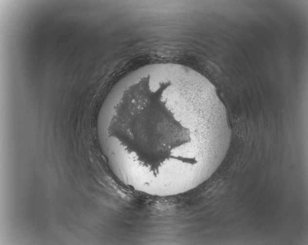 X0000062881009200601271616