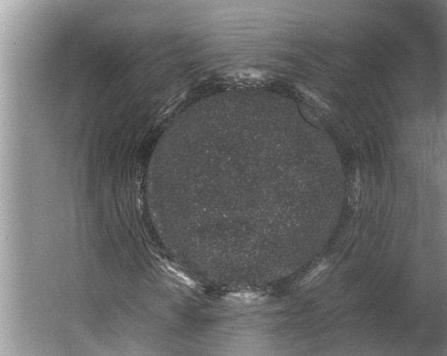 X0000062881010200601271616