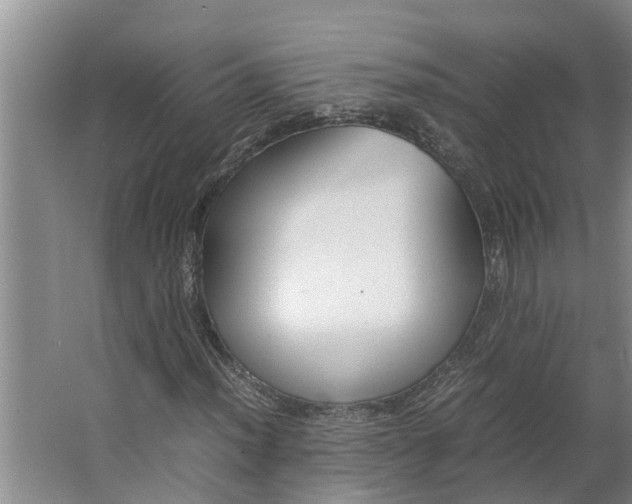 X0000062881012200601271616