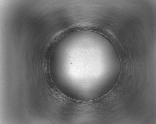 X0000062881016200601271616