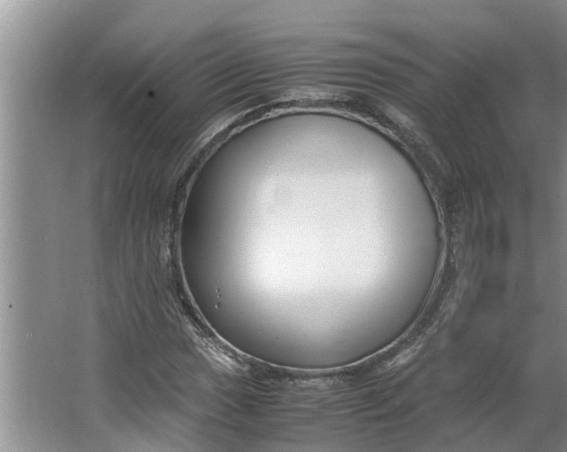 X0000062881017200601271616