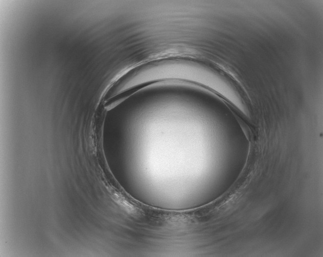 X0000062881018200601271616