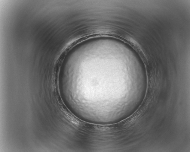 X0000062881019200601271616