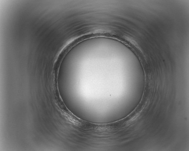 X0000062881021200601271616