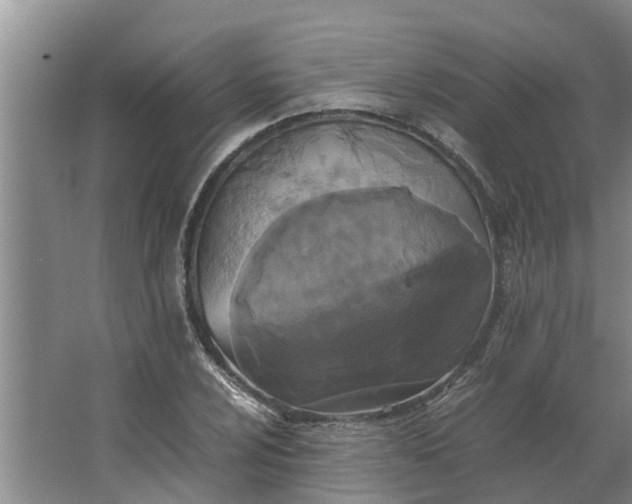 X0000062881024200601271616