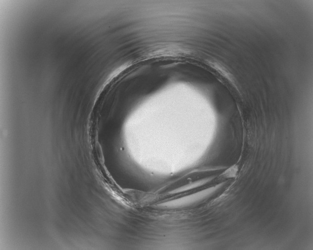 X0000062881026200601271616