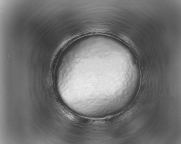 X0000062881027200601271616