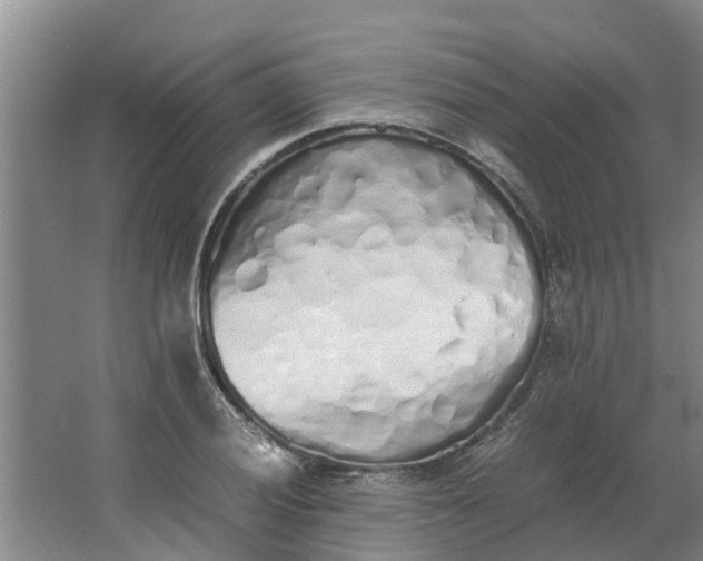 X0000062881028200601271616