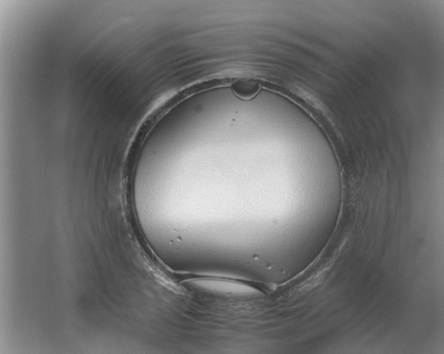 X0000062881029200601271616