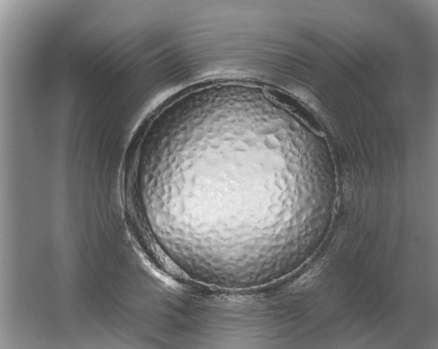 X0000062881030200601271616