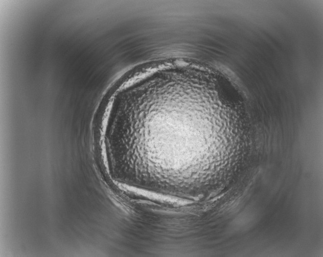 X0000062881031200601271616