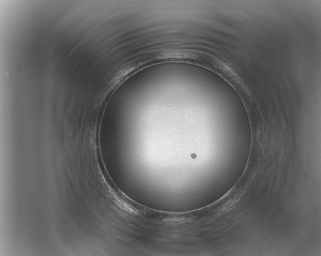 X0000062881033200601271616