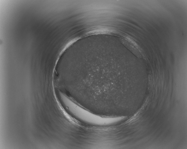 X0000062881034200601271616