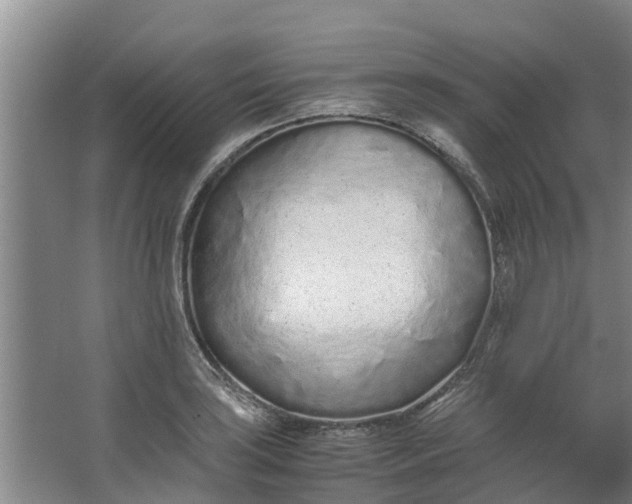 X0000062881035200601271616