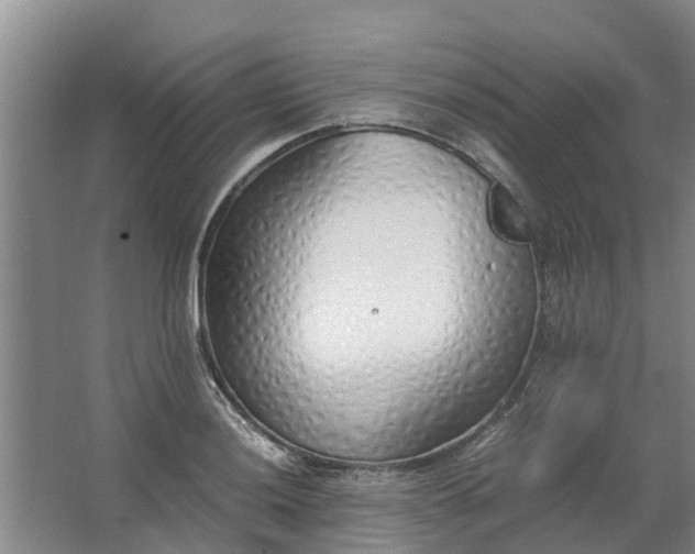 X0000062881036200601271616