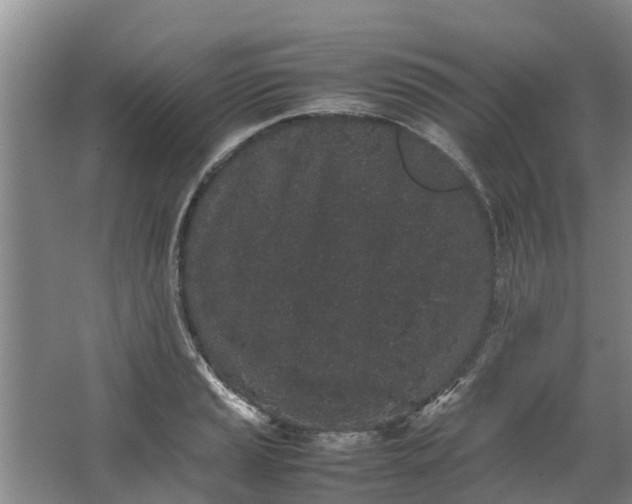 X0000062881037200601271616