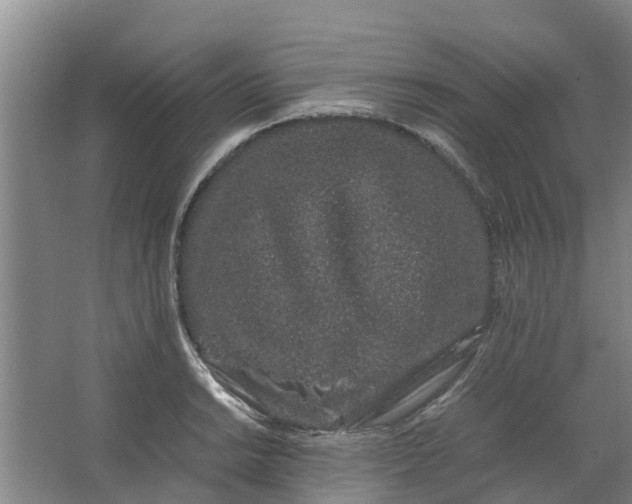 X0000062881038200601271616