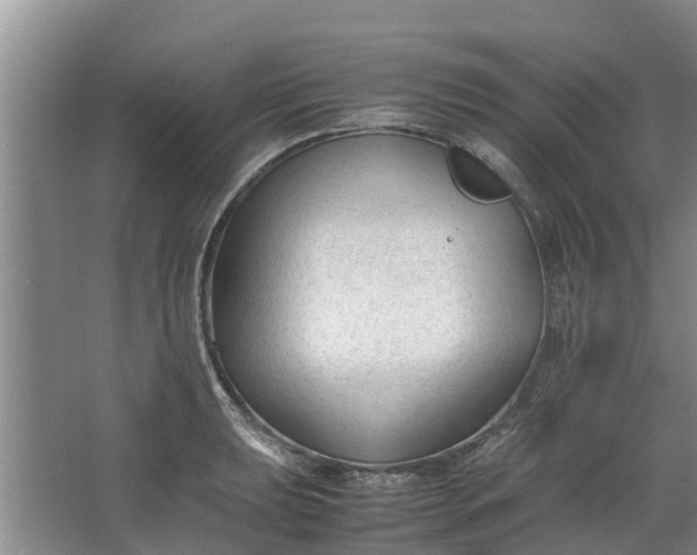 X0000062881039200601271616