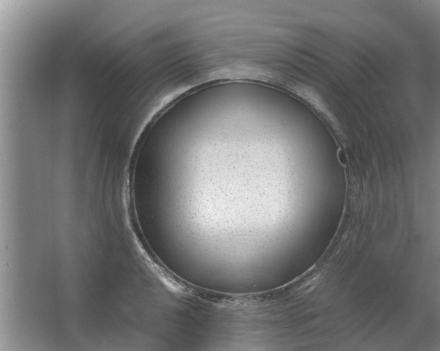 X0000062881040200601271616