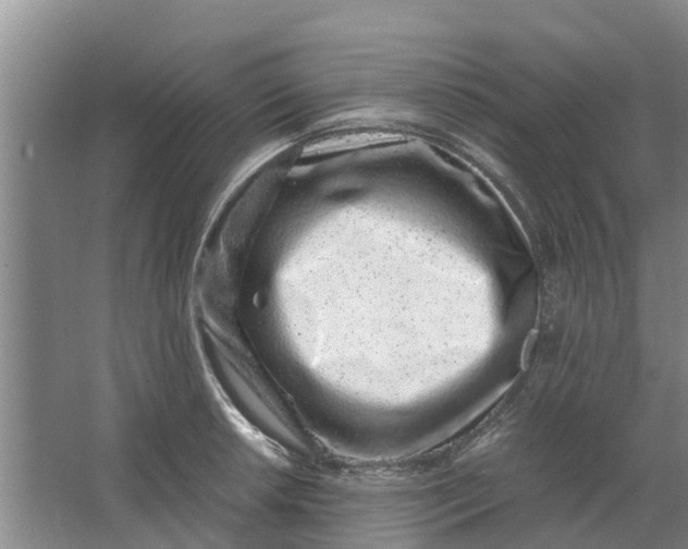 X0000062881042200601271616