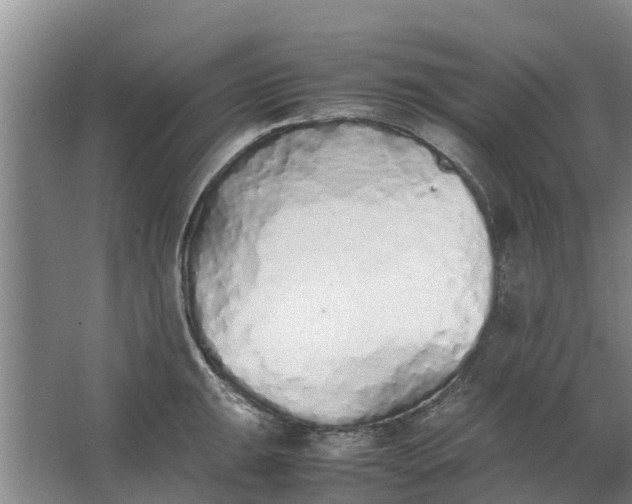 X0000062881047200601271616