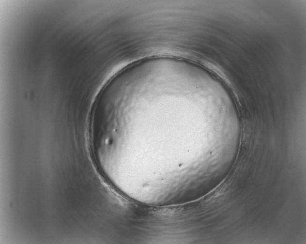 X0000062881048200601271617