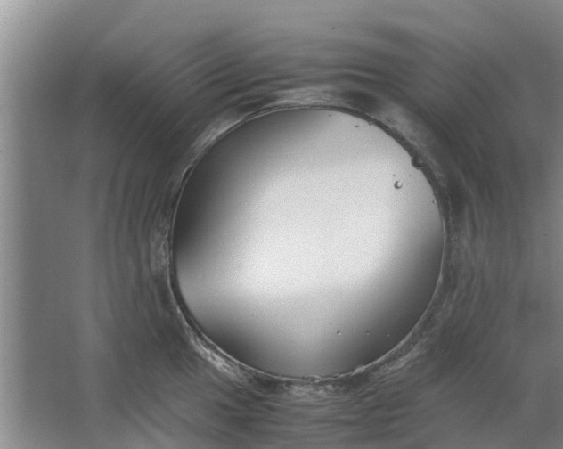 X0000062881049200601271617