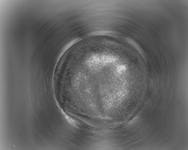 X0000062881050200601271617