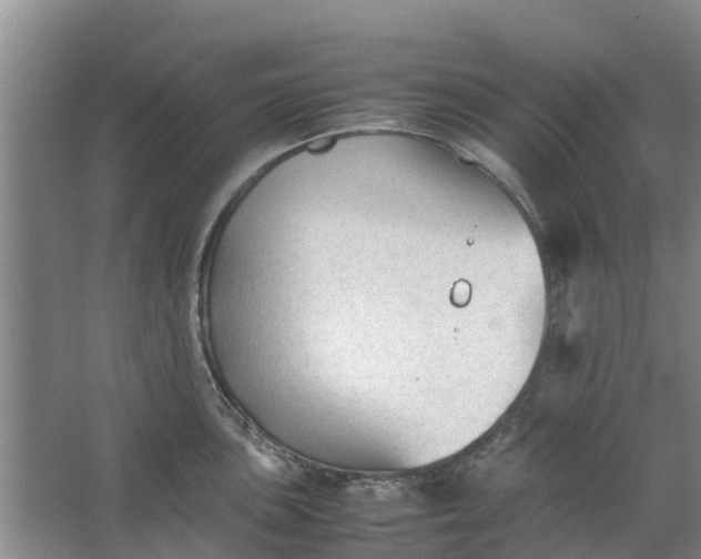 X0000062881051200601271617