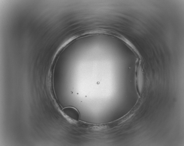 X0000062881053200601271617