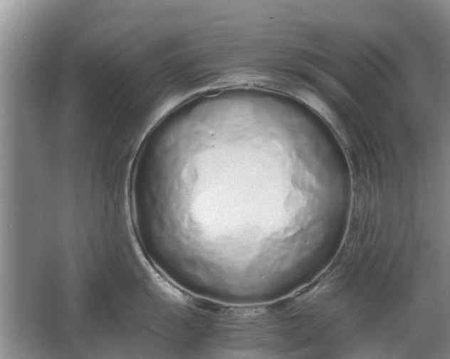 X0000062881055200601271617