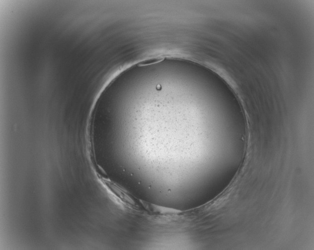 X0000062881056200601271617