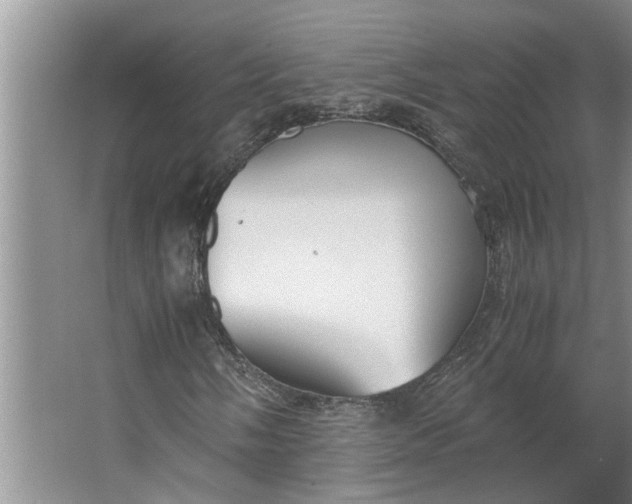 X0000062881058200601271616